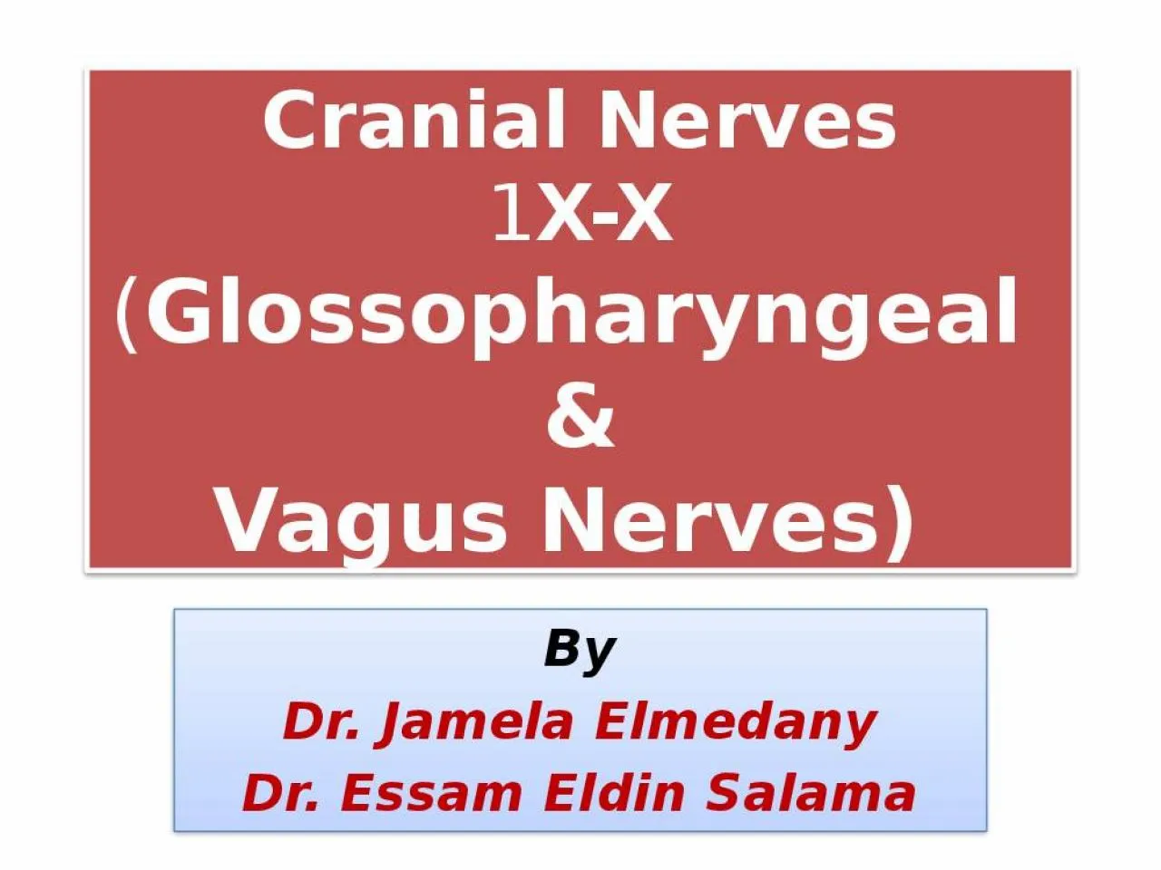 PPT-Cranial Nerves 1 X-X ( Glossopharyngeal