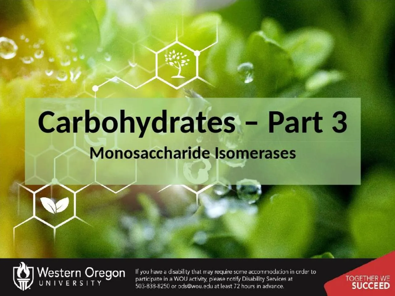 PPT-Carbohydrates – Part 3