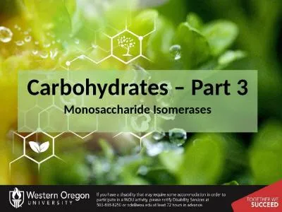 Carbohydrates – Part  3