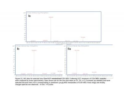 Ia Ib IIa Figure S1. MS data for selected ions from GGT metabolized GSH-MDI. Following GGT treatmen