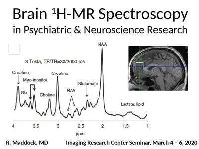 Brain  1 H-MR Spectroscopy