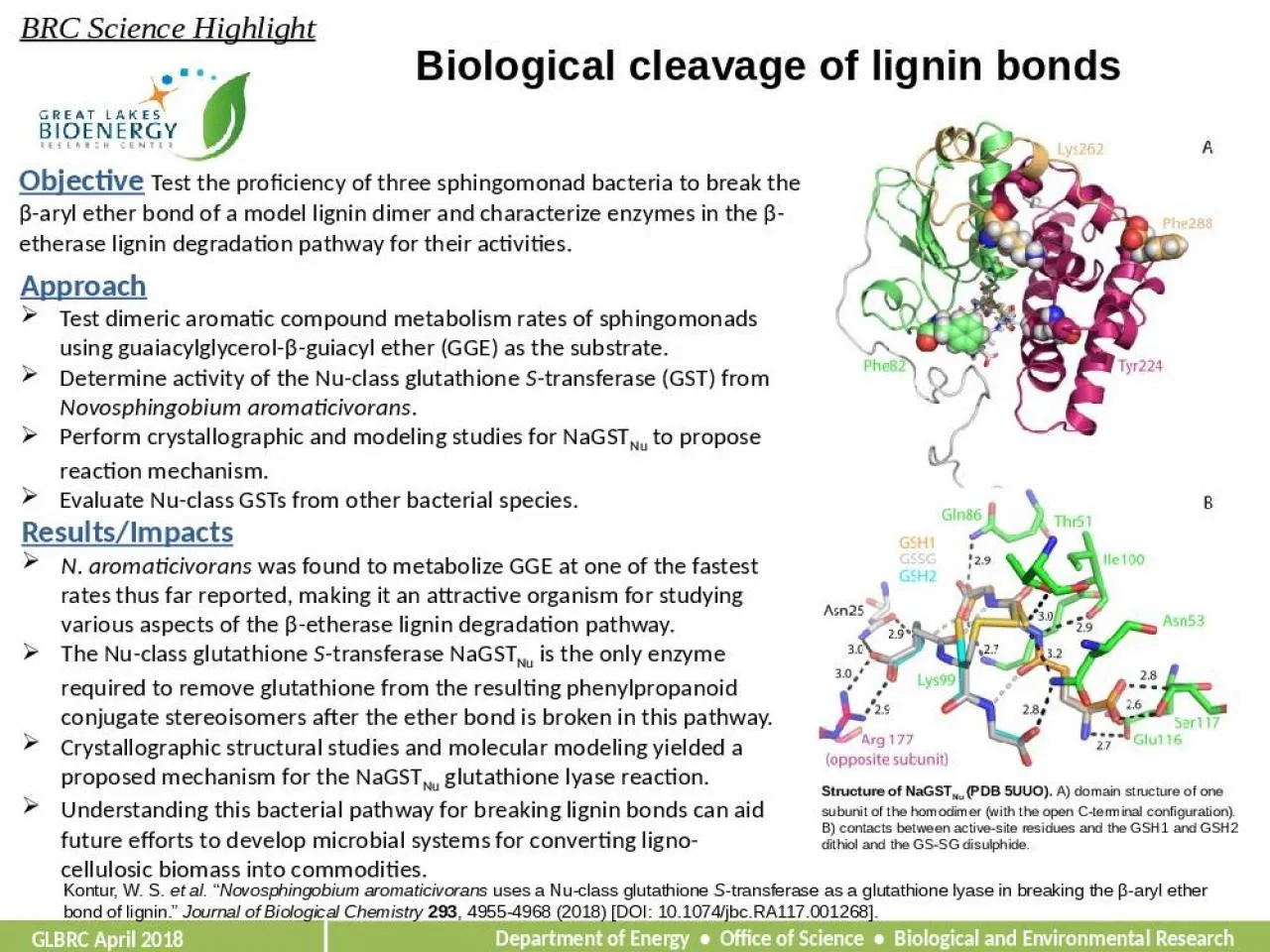 PPT-Biological cleavage of lignin bonds