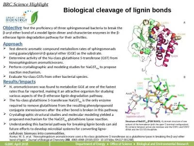 Biological cleavage of lignin bonds