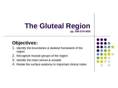 The Gluteal Region pp. 566-575+658