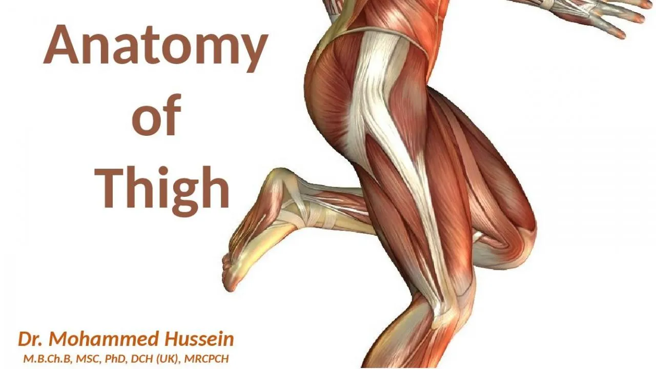 PPT-Anatomy of Thigh Dr. Mohammed Hussein