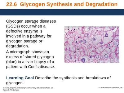 22.6  Glycogen Synthesis and Degradation