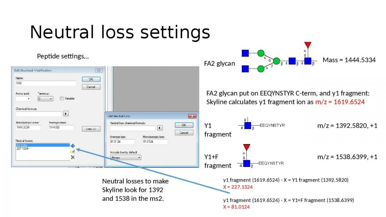 PPT-Neutral loss settings Peptide settings…