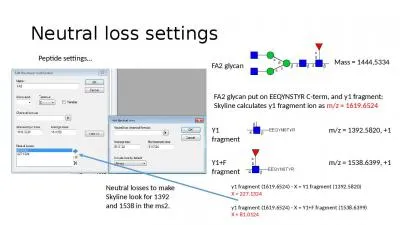 Neutral loss settings Peptide settings…