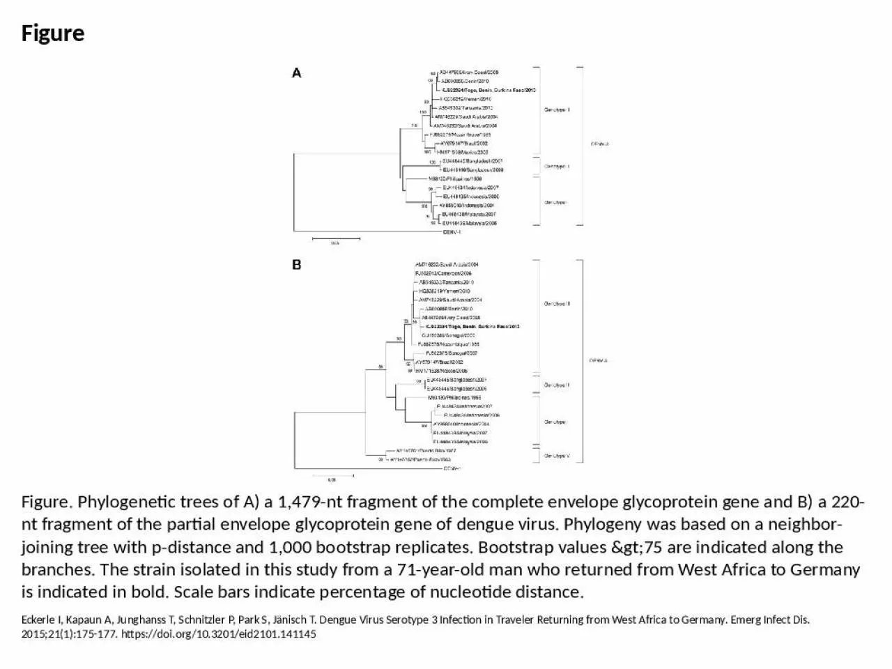 PPT-Figure Figure. Phylogenetic trees of A) a 1,479-nt fragment of the complete envelope glycoprotein