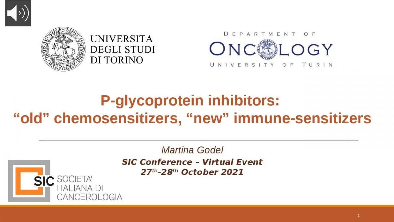 PPT-P-glycoprotein inhibitors: