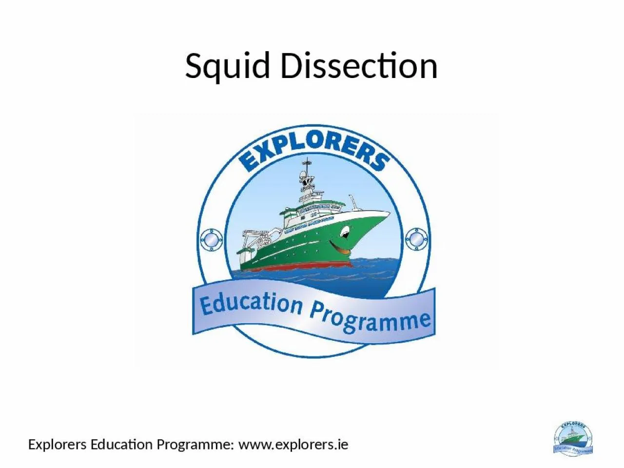 PPT-Squid Dissection Explorers Education Programme: