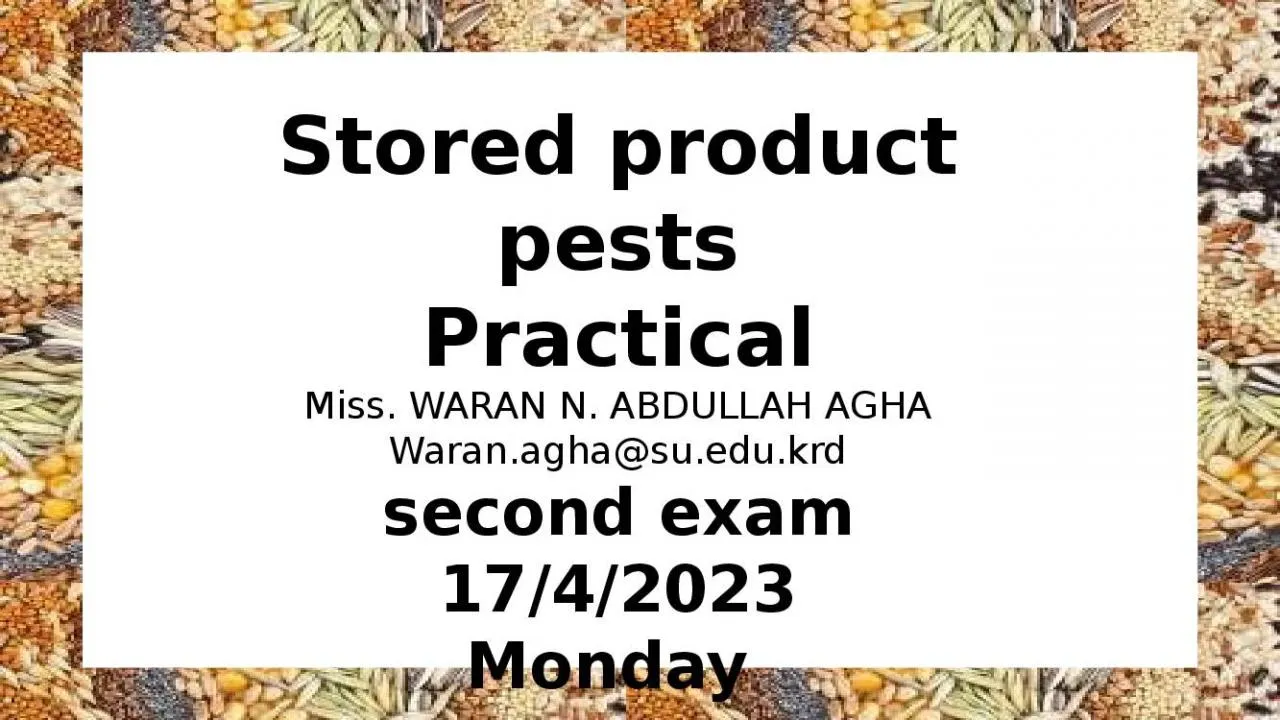 PPT-Stored product pests Practical