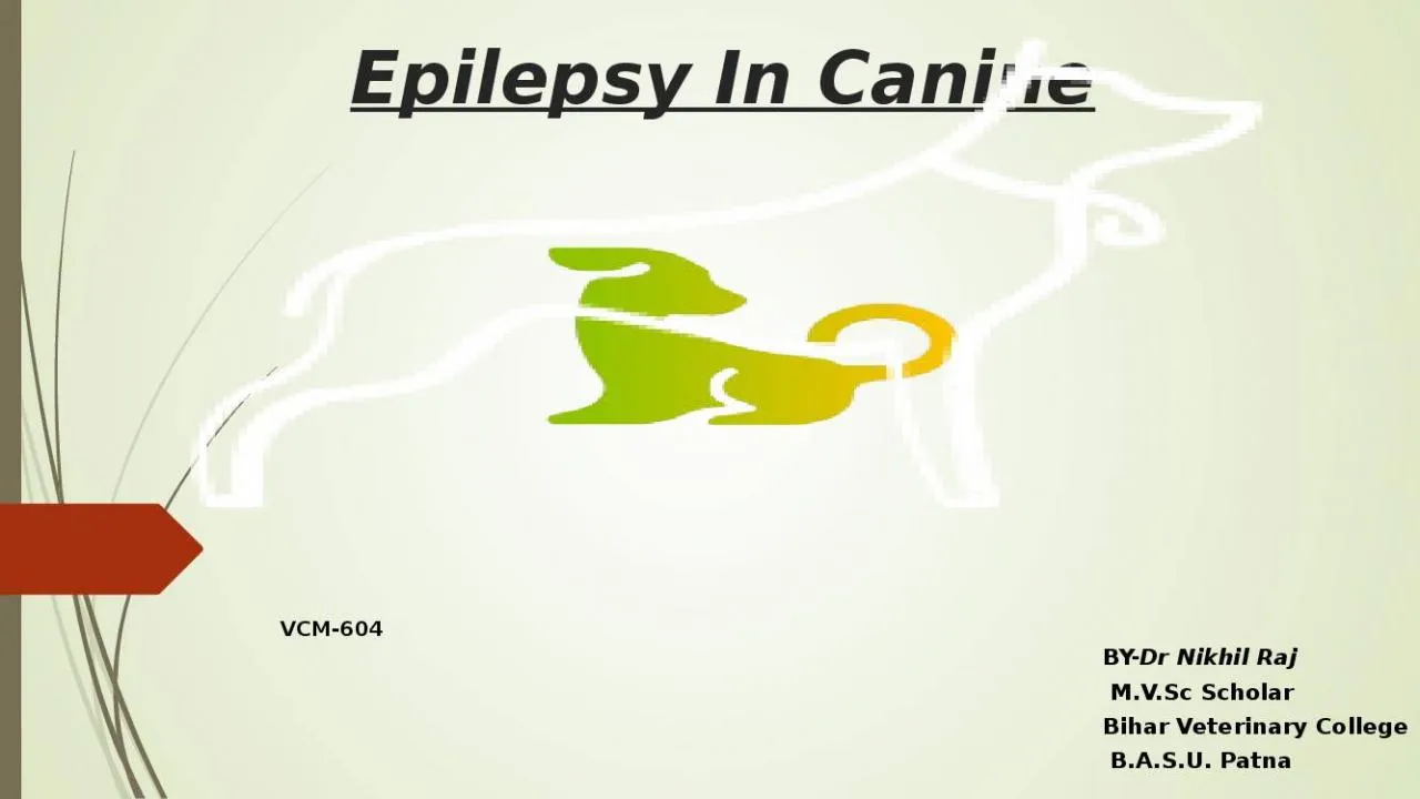 PPT-Epilepsy In Canine BY- Dr Nikhil Raj