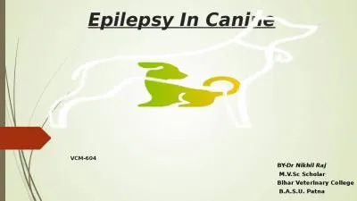 Epilepsy In Canine BY- Dr Nikhil Raj