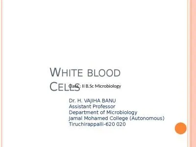 W HITE   BLOOD   C ELLS Dr. H. VAJIHA BANU