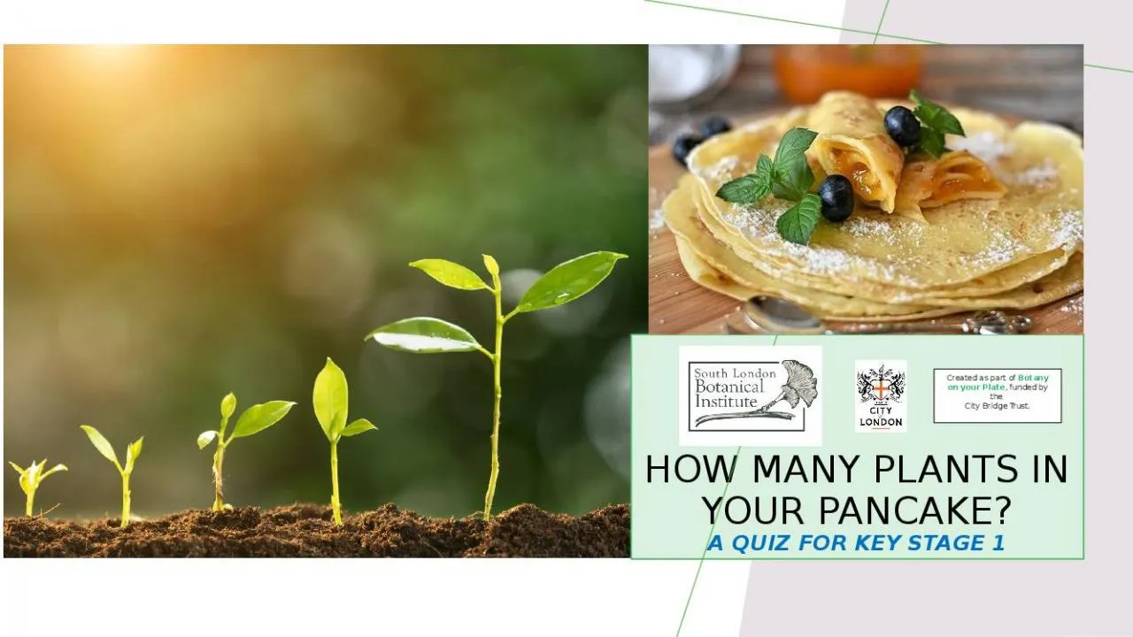 PPT-How many plants in your pancake?