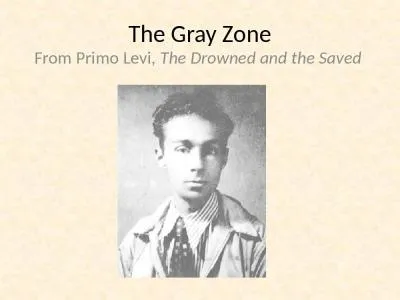 The Gray Zone From Primo Levi,