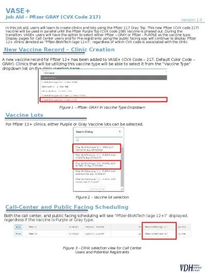 VASE+ Job Aid – Pfizer GRAY (CVX Code 217)