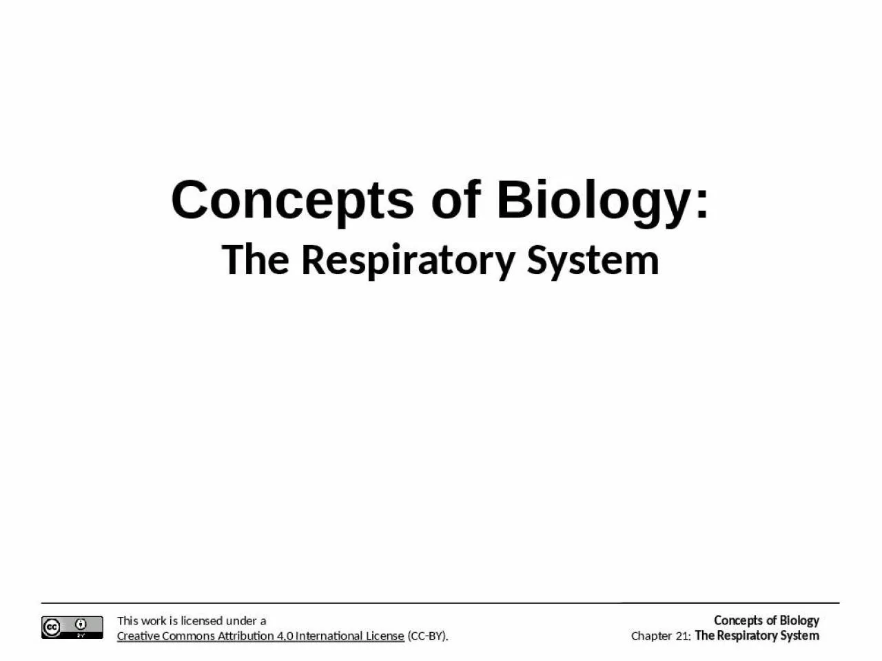 PPT-Concepts of Biology: The Respiratory System