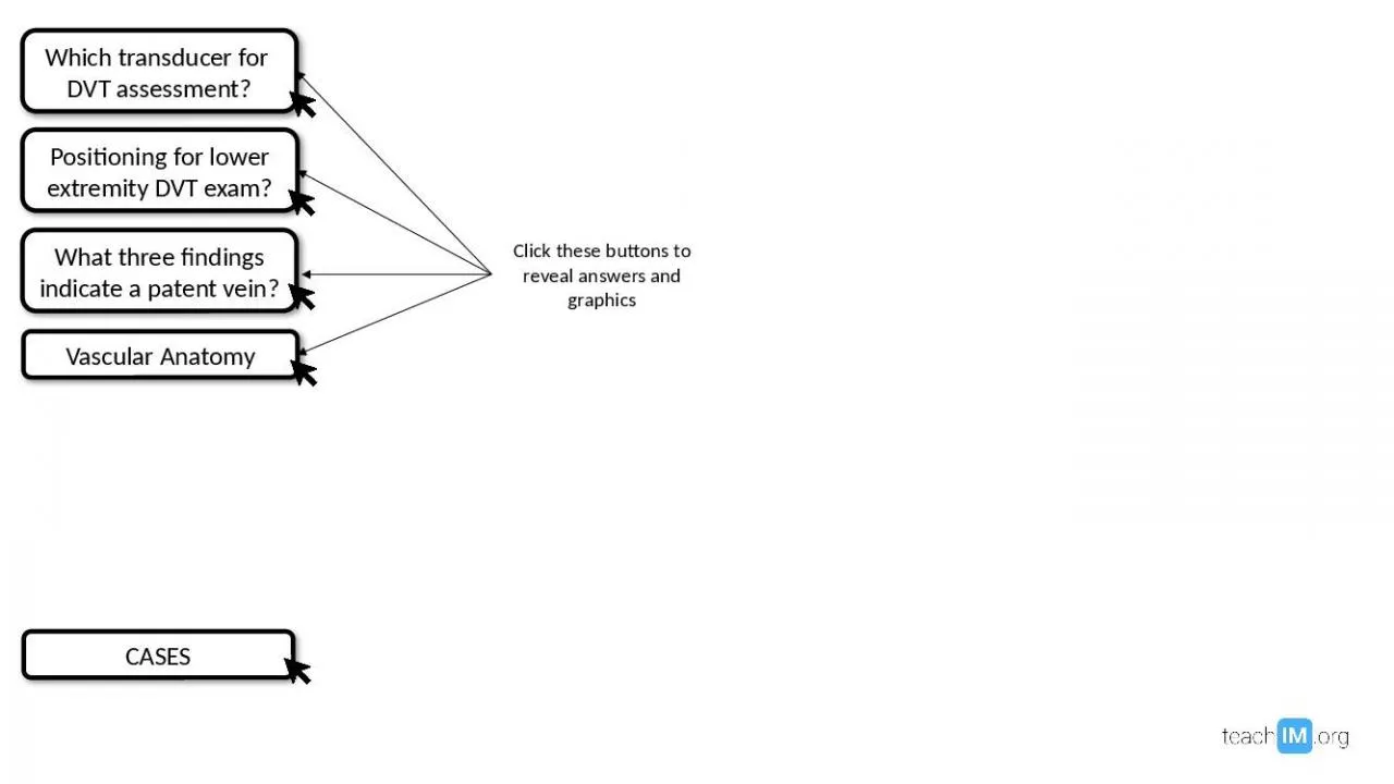 PPT-Which transducer for DVT assessment?