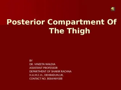 Posterior  Compartment Of