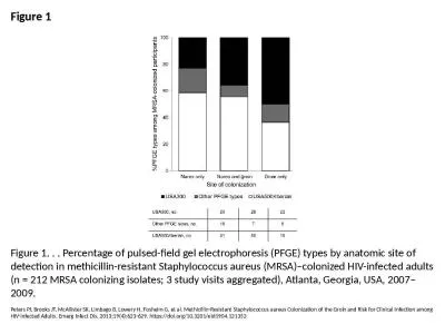 Figure 1 Figure 1. . . Percentage of pulsed-field gel electrophoresis (PFGE) types by