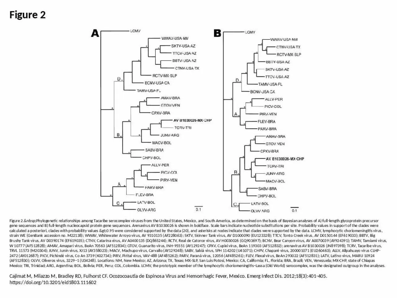 PPT-Figure 2 Figure 2.&nbsp;Phylogenetic relationships among Tacaribe serocomplex viruses