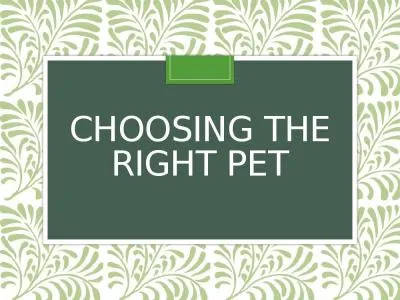 Choosing the Right pet Questions to ask