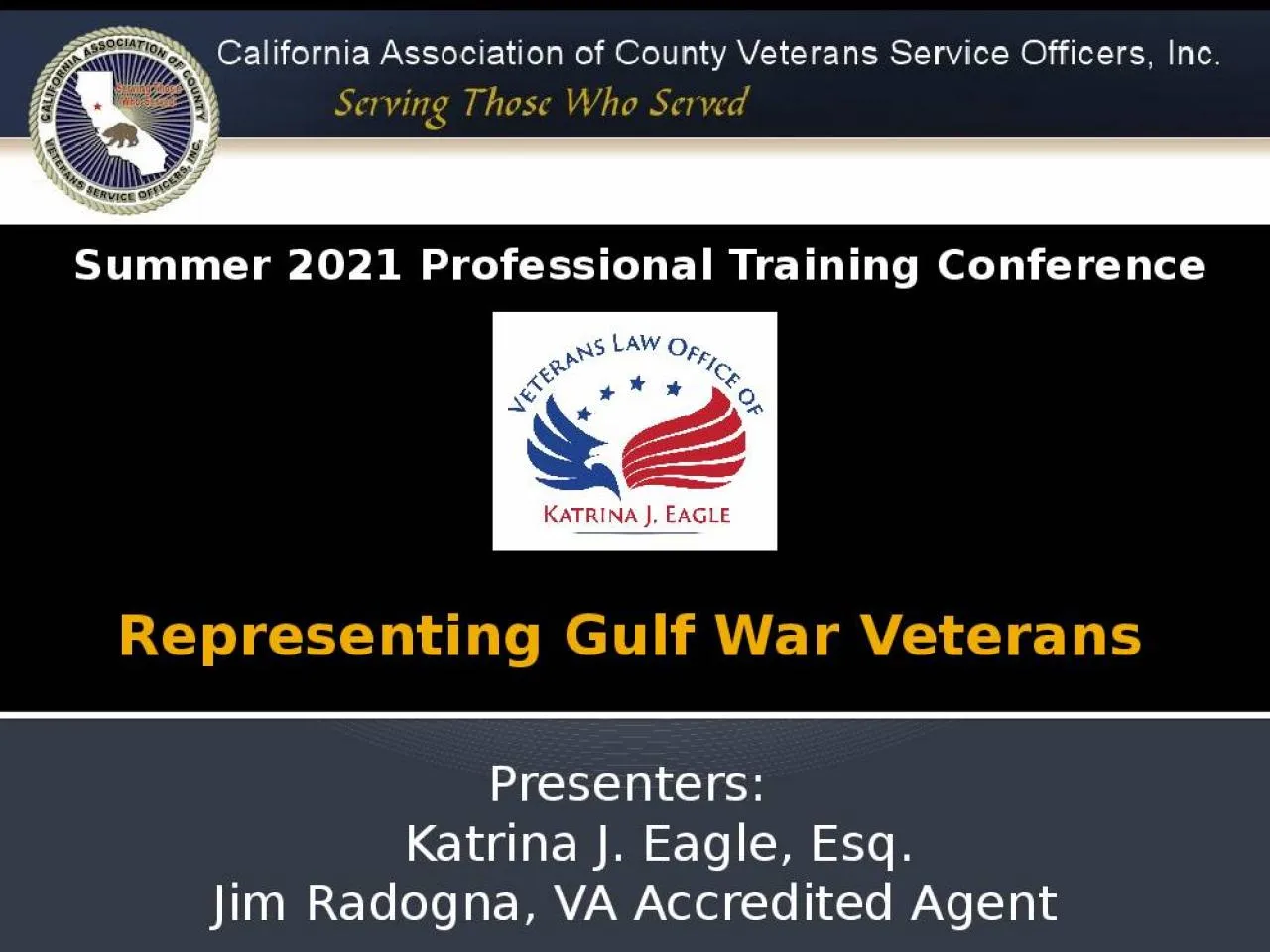 PPT-Representing Gulf War Veterans