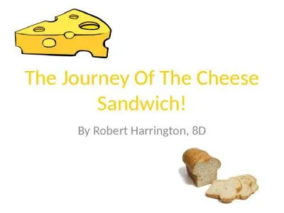 The Journey Of The Cheese Sandwich!