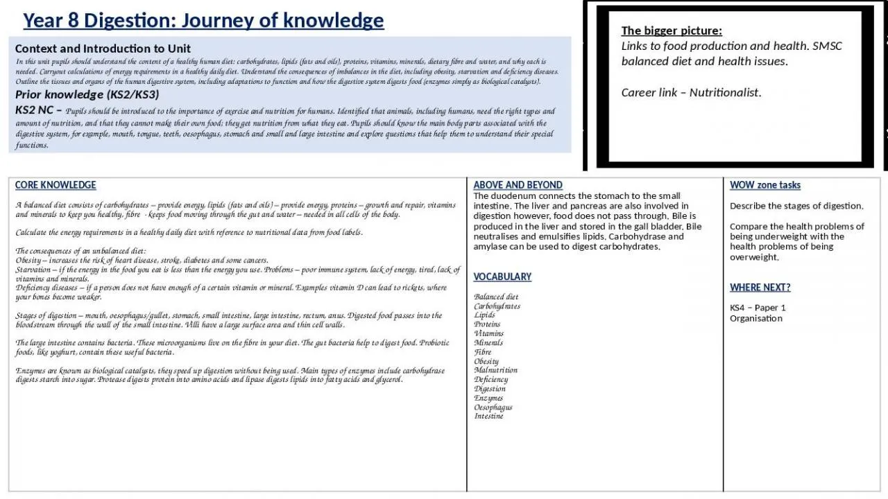 PPT-Year 8 Digestion: Journey of knowledge