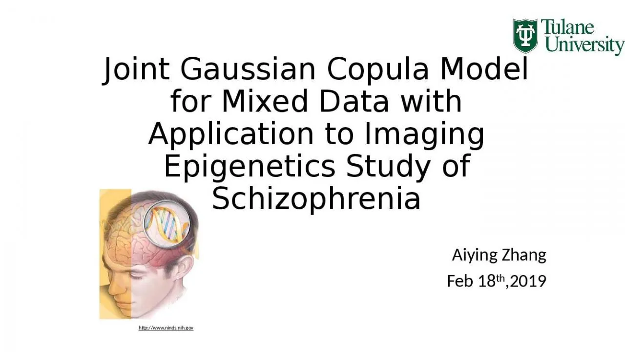 PPT-Joint Gaussian Copula Model for Mixed Data with Application to Imaging Epigenetics Study