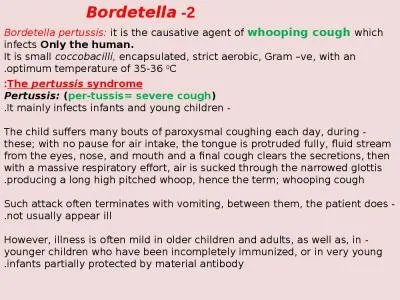 2-  Bordetella Bordetella