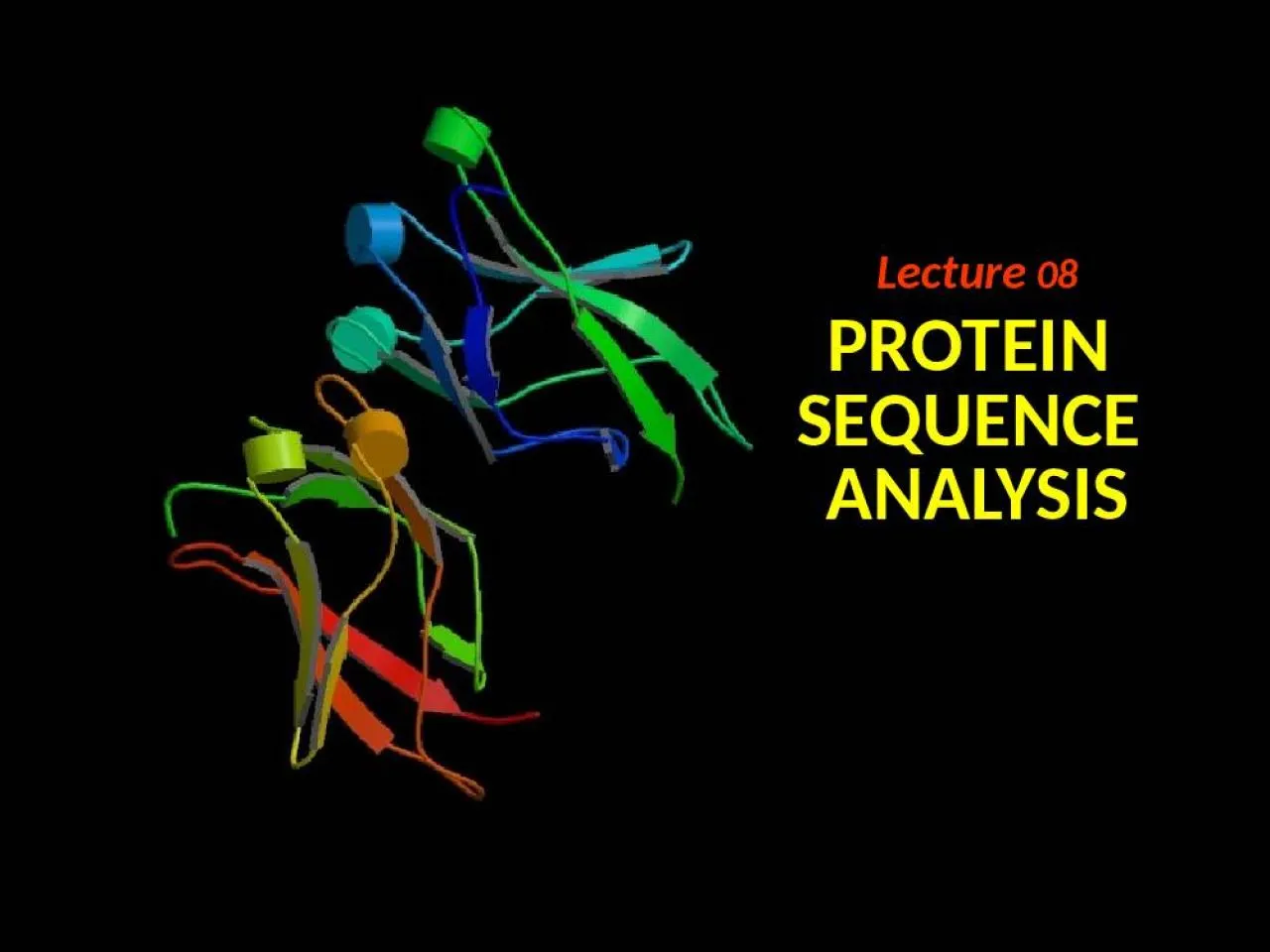 PPT-Lecture 08 PROTEIN SEQUENCE