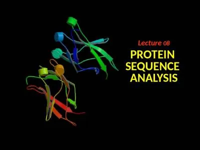 Lecture  08 PROTEIN  SEQUENCE