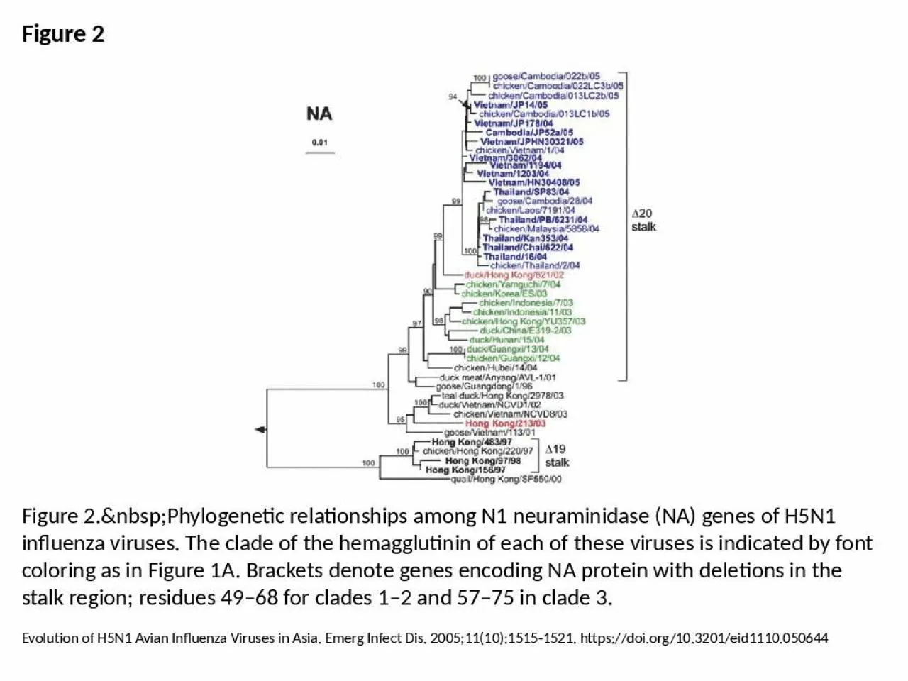 PPT-Figure 2 Figure 2.&nbsp;Phylogenetic relationships among N1 neuraminidase (NA) genes