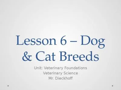 Lesson 6 – Dog & Cat Breeds