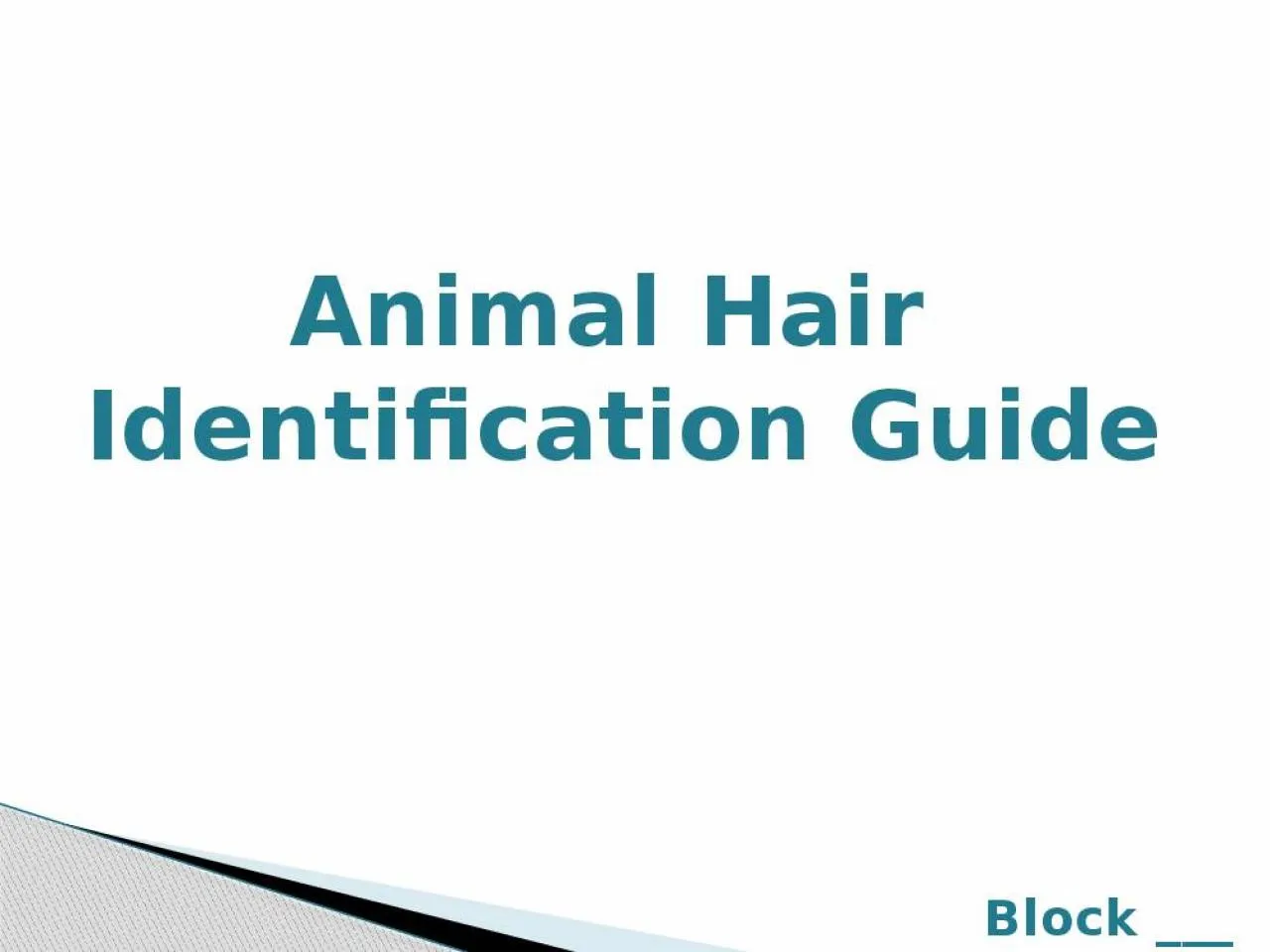 PPT-Animal Hair Identification Guide