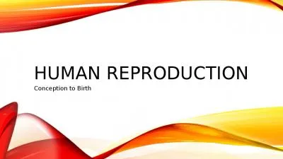 Human reproduction Conception to Birth