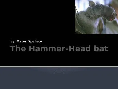 The Hammer-Head bat B y: Mason