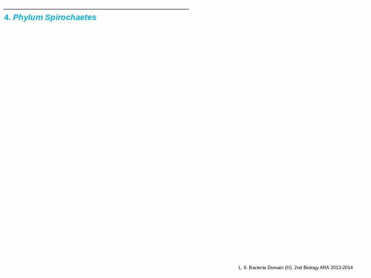 PPT-4. Phylum Spirochaetes 4.