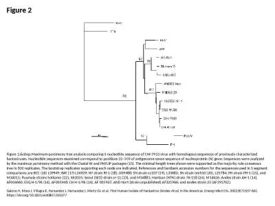 Figure 2 Figure 2.&nbsp;Maximum-parsimony tree analysis comparing S nucleotide sequence