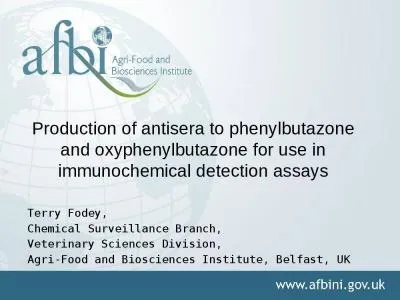 Production of antisera to phenylbutazone and oxyphenylbutazone for use in immunochemical