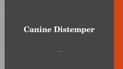 Canine  Distemper   What