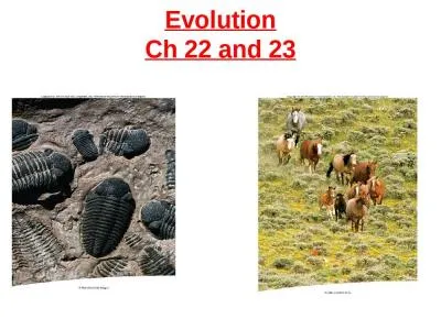 Evolution Ch  22 and 23 Evolution: