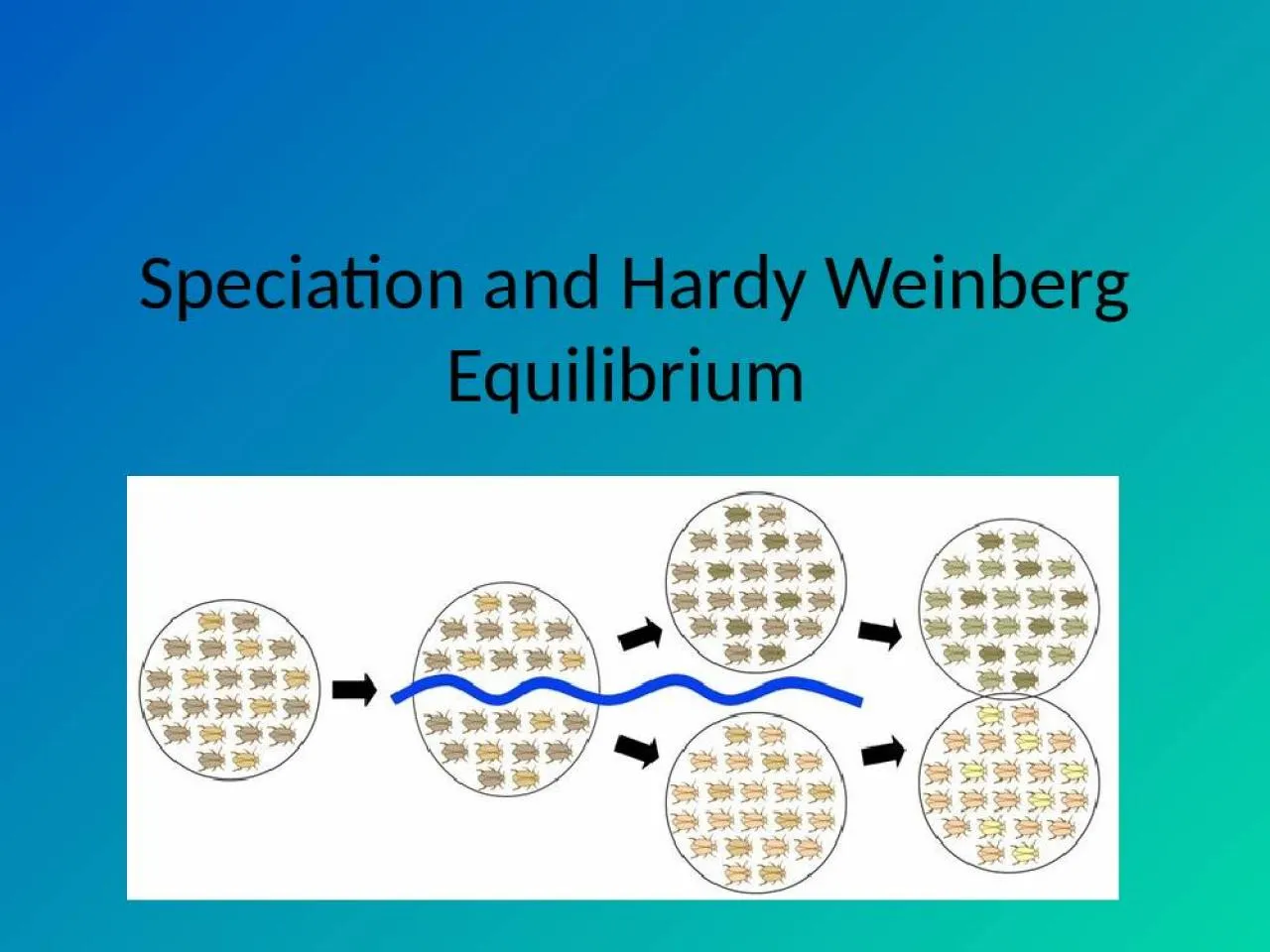 PPT-Speciation and Hardy Weinberg Equilibrium