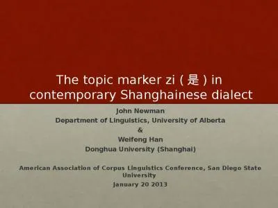 The topic   marker  zi