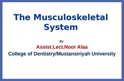 The Musculoskeletal System