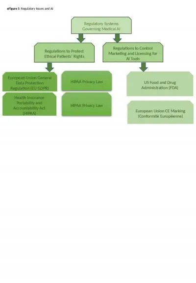 e Figure  5 : Regulatory Issues and AI