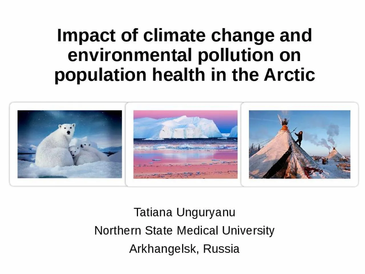 PPT-Impact of climate change and environmental pollution on population health in the Arctic